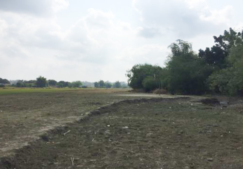 Agricultural in Various Lots, Brgy. Villa Aglipay, San Jose Tarlac - Foreclosed Property