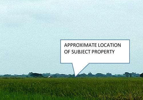 Agricultural in Lot 4896, Purok 4, Brgy. Cruz, Victoria, Tarlac (Interior) - Foreclosed Property