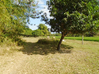 Agricultural in Lot 855-B, Brgy. Balbaloto / Nilasin, Victoria, Tarlac (Interior) - Foreclosed Property