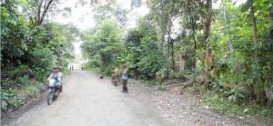 Agricultural in Barangay Road, Brgys. Carvasana, Maribong & Alogmawa, Calinog & Lambunao, Iloilo - Foreclosed Property