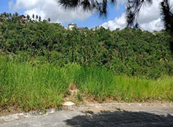Vacant Lot in Lot 3, Block 2, Emerald Loop, Crosswinds Tagaytay Subdivision, Brgy. Iruhin, Tagaytay City, Cavite - Foreclosed Property