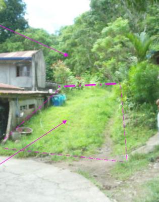 Agricultural in Lot 4252, Brgy. Puting Lupa, Calamba City, Laguna (Interior) - Foreclosed Property