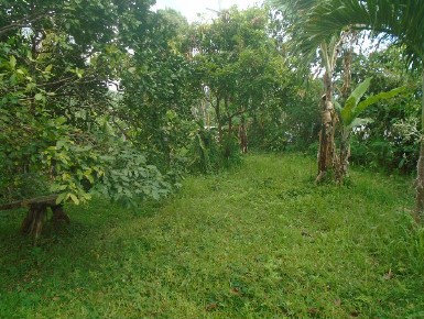 Vacant Lot in Lot No. 3, Brgy. San Marcos (Tikiw), San Pablo City, Laguna - Foreclosed Property