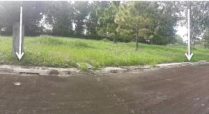 Vacant Lot in Lot 26, Block 7, Maple Street, Belle Reve Subdivision, Brgy. Don Jose / Sto. Domingo, Santa Rosa City, Laguna - Foreclosed Property