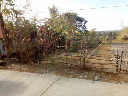 Vacant Lot in Lot 6438-A, Psd-1-0141662, Don Juan St., Brgy. Pogo, Alaminos City, Pangasinan (With dilapidated improvement) - Foreclosed Property