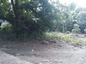 Vacant Lot in Lot 1132-O, Zambrano St., Zone IV, Brgy. Poblacion, Rosales, Pangasinan - Foreclosed Property