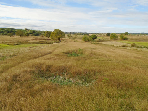 Agricultural in Lot B-5-A, Sitio Sta. Cruz, Brgy. Iba, San Jose, Tarlac (Interior) - Foreclosed Property