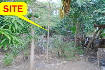 Agricultural in Lot 10-B-6, Brgy. San Vicente, Santa Ignacia, Tarlac (Interior) - Foreclosed Property