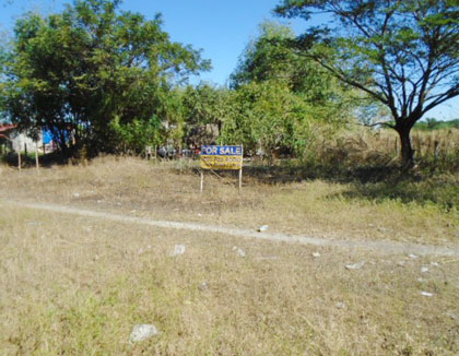 Agricultural in Lot 3240-1-3-E, PSD-03-001810, Brgy. Aguso and Dalayap, Tarlac City, Tarlac (Interior) - Foreclosed Property