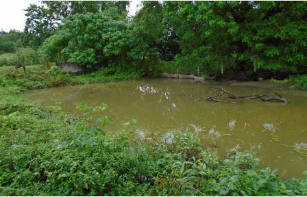Agricultural in Lot 4034-F-1-A, Sitio Centro, Brgy. Sapang Maragul, Tarlac City, Tarlac (Interior) - Foreclosed Property