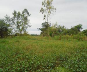 Vacant Lot in Lot 1 (Pcs-04-013807), Brgy. Dela Paz, Biñan, Laguna - Foreclosed Property