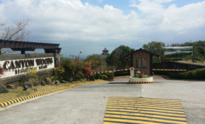 Vacant Lot in Lot 29, Block 12B, Canyon Woods Residential Resort, Phase 2, Brgy. San Gabriel / San Gregorio, Laurel, Batangas - Foreclosed Property