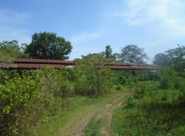 Vacant Lot in Lot 10516-B-2, Barangay Road, Brgy. Magsaysay, Naguilian, Isabela - Foreclosed Property