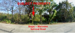 Vacant Lot in Lot 58-G, Brgy. Polilio, Cabanatuan City, Nueva Ecija - Foreclosed Property