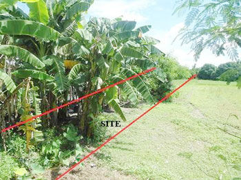 Vacant Lot in Lot 3503-I, SW side of Nambalan - Sembrano Road, Brgy. Sembrano, Gerona, Tarlac - Foreclosed Property