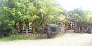 House & Lot in Lot 10161-C and 10161-D, Brgy. Macanaya, Aparri, Cagayan - Foreclosed Property