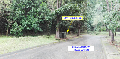 Vacant Lot in Lot 13, Block 40, Canyon Woods Residential Resort, Phase 2, Brgy. San Gabriel / San Gregorio, Laurel, Batangas - Foreclosed Property