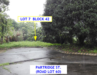Vacant Lot in Lot 7, Block 42, Canyon Woods Residential Resort, Phase 2, Brgy. San Gabriel / San Gregorio, Laurel, Batangas - Foreclosed Property
