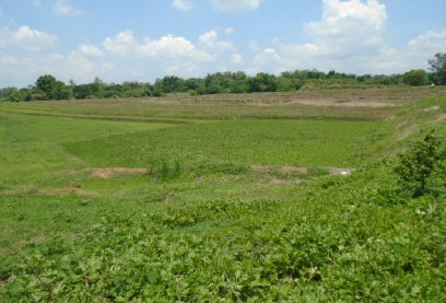 Agricultural in Lot 4893-B (Psd-215660), Brgy. San Agustin, Gerona, Tarlac (Interior) - Foreclosed Property