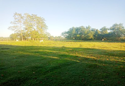 Agricultural in Lot 5512-B, Brgy. Tangcaran, Gerona, Tarlac (Interior) - Foreclosed Property