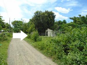Agricultural in Lot 1983-D, Brgy. Cawayan Bugtong, Guimba, Nueva Ecija - Foreclosed Property