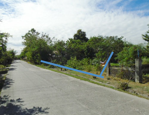 Vacant Lot in Lot 2402-D-4-E, Brgy. Mayang, La Paz, Tarlac - Foreclosed Property