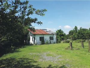 Commercial in Lot 10780-P, Barangay Asin & Lunec, Malasiqui, Pangasinan (With dilapidated improvement) - Foreclosed Property