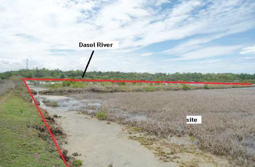 Agricultural in Lot B, Psd-46527, Brgy. Bobonot Sur / Magsaysay, Dasol, Pangasinan (Interior) - Foreclosed Property
