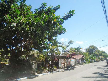 Vacant Lot in Lot 528-C-3-B, Don Emilio Gaston St., Brgy. Mambulac, Silay, Negros Occidental - Foreclosed Property
