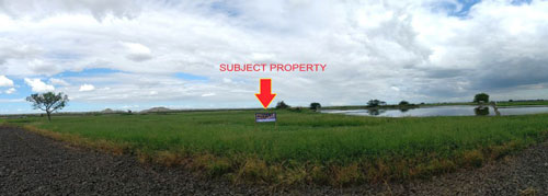 Agricultural in Lot 1512, Brgy. Guevara, La Paz, Tarlac (Interior) - Foreclosed Property