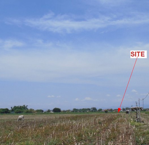 Agricultural in Lot 4853-A-10, Sitio Bacao, Brgy. Salumague, Paniqui, Tarlac - Foreclosed Property