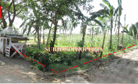 Vacant Lot in Lot No. 1883, Purok 5, Brgy. Poblacion, New Corella / Saug, Davao del Norte - Foreclosed Property