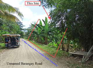 Vacant Lot in Lot No. 2221, Purok 5, Brgy. Poblacion, New Corella / Saug, Davao del Norte - Foreclosed Property