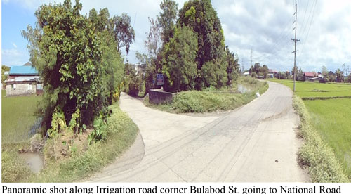 Vacant Lot in Lot 732-B-2-D-8-A and 732-B-2-D-8-F, Bulabod St., Brgy. Sto. Niño, Gapan City, Nueva Ecija - Foreclosed Property
