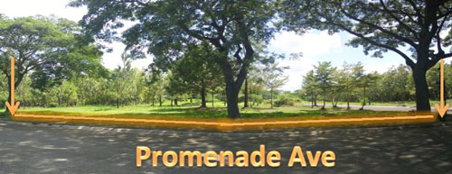 Vacant Lot in Lot 9, Block 10, Promenade Avenue and Road Lot 1, Promenade Subdivision, Brgy. Don Jose & Malilit / Sto. Domingo, Santa Rosa City, Laguna - Foreclosed Property