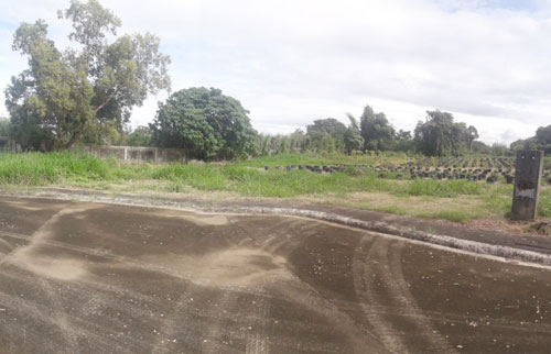 Vacant Lot in Lot 2, Block 13,, Promenade Subdivision, Brgy. Sto. Domingo, Santa Rosa City, Laguna - Foreclosed Property