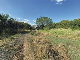 Agricultural in Lot 1407-F, Brgy. Domanpot, Asingan, Pangasinan (Interior) - Foreclosed Property