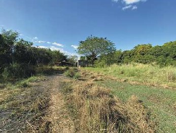 Agricultural in Lot 1407-C, Brgy. Domanpot, Asingan, Pangasinan - Foreclosed Property