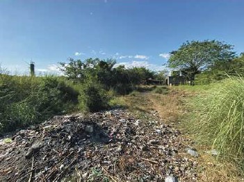 Agricultural in Lot 1407-E, Brgy. Domanpot, Asingan, Pangasinan - Foreclosed Property