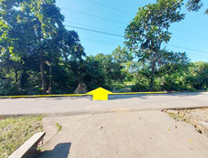 Vacant Lot in Lot 30967-C, Psd-01-034156, Brgy. Anolid, Malasiqui, Pangasinan - Foreclosed Property