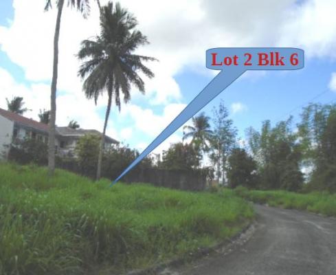 Vacant Lot in Lot 20, Block 2, Plantacion Meridienne, Phase COF, Brgy. Cumba, Lipa City, Batangas - Foreclosed Property