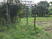 Agricultural in Lot 2-B-4-B, Psd-015546-027513, Brgy. Pinmaludpod, Urdaneta City, Pangasinan (Interior) - Foreclosed Property