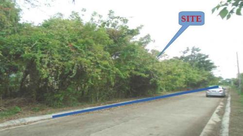 Vacant Lot in Lot 2, Block 1, Road Lot 2, Hacienda Sta. Monica, Brgy. Antipolo del Sur, Lipa City, Batangas - Foreclosed Property