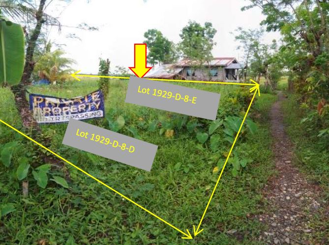 Vacant Lot in Lot 192-D-8-D, Brgy. Camansi, Kabankalan City, Negros Occidental - Foreclosed Property