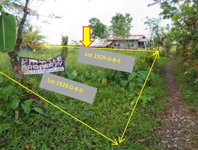 Vacant Lot in Lot 192-D-8-E, Brgy. Camansi, Kabankalan City, Negros Occidental - Foreclosed Property