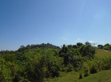 Agricultural in Lot 5563, Brgy. Calipayan, Santa Ignacia, Tarlac (Interior) - Foreclosed Property