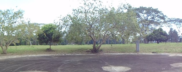 Vacant Lot in Lot 46, Block 11, Pine Street, Belle Reve Subdivision, Brgy. San Jose / Sto. Domingo, Santa Rosa City, Laguna - Foreclosed Property