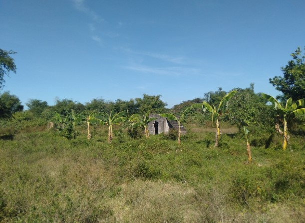 Agricultural in Lot 5, Block 28, Brgy. Leet, Santa Barbara, Pangasinan - Foreclosed Property