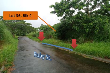 Vacant Lot in Lot 36, Block 4, GC Berberabe Subdivision, Brgy. Pallocan East, Batangas City, Batangas - Foreclosed Property