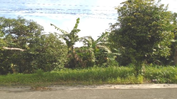 Vacant Lot in Lot 30, Block 1, Calamansi St., Plantacion Meridienne, Phase CIT, Brgy. Cumba, Lipa City, Batangas - Foreclosed Property